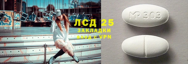 ПСИЛОЦИБИНОВЫЕ ГРИБЫ Новозыбков