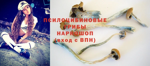 эйфоретик Нефтегорск